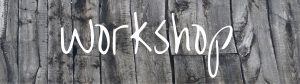 Workshops and Seminars